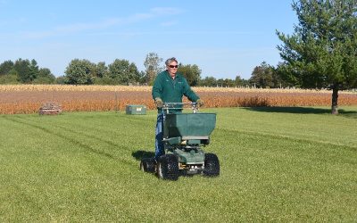 The Basics of Fall Lawn Care